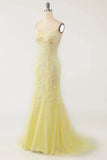 Mermaid Lace Long Prom HZ0307