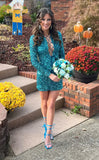 Sexy Bodycon Sequined Homecoming Dresses With Long Sleeves, HZ0307