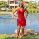 LTP1071,Simple homecoming dresses spaghetti straps v-neck short HZ0307